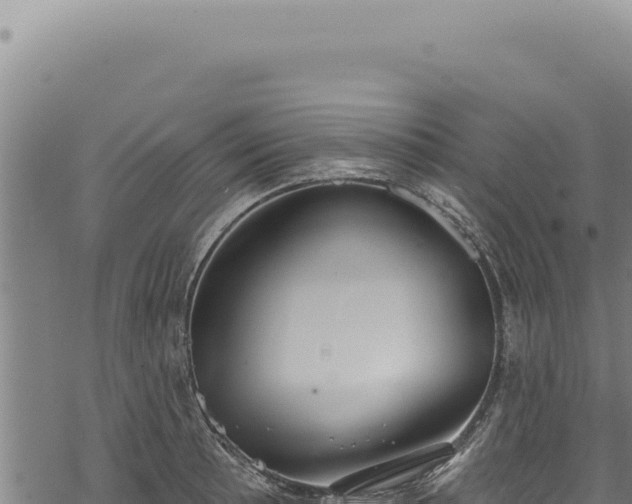 X0000068841089200605121400