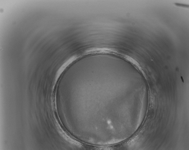 X0000068841090200605121400