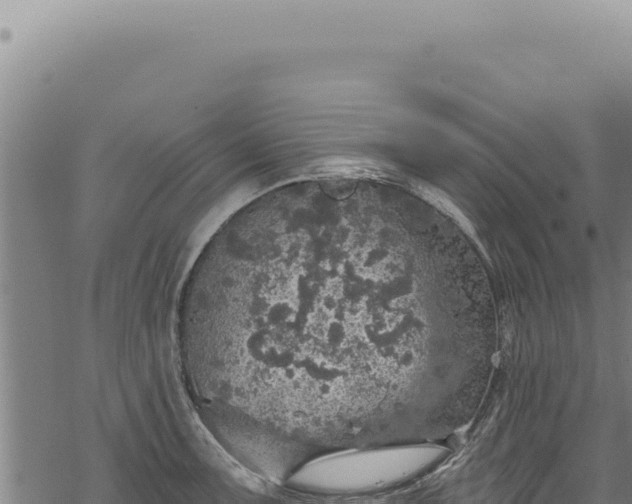 X0000068841091200605121400