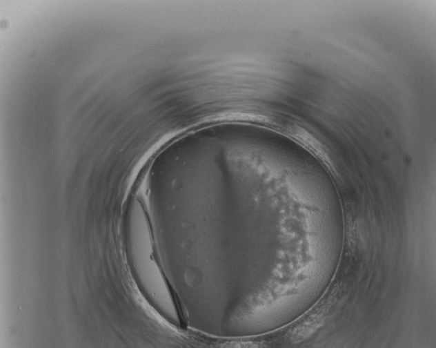 X0000068841092200605121400