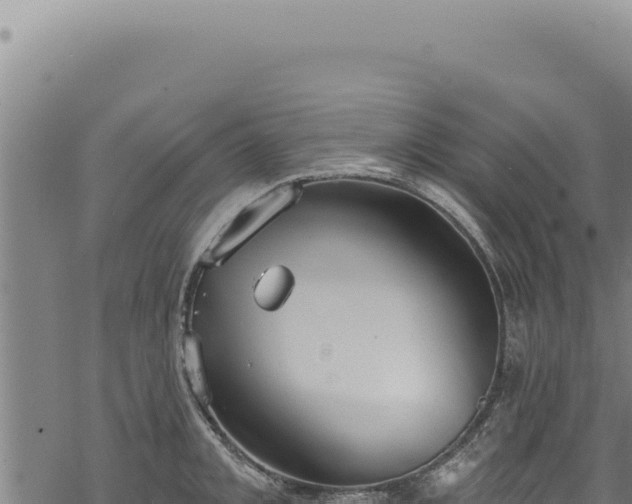 X0000068841093200605121400