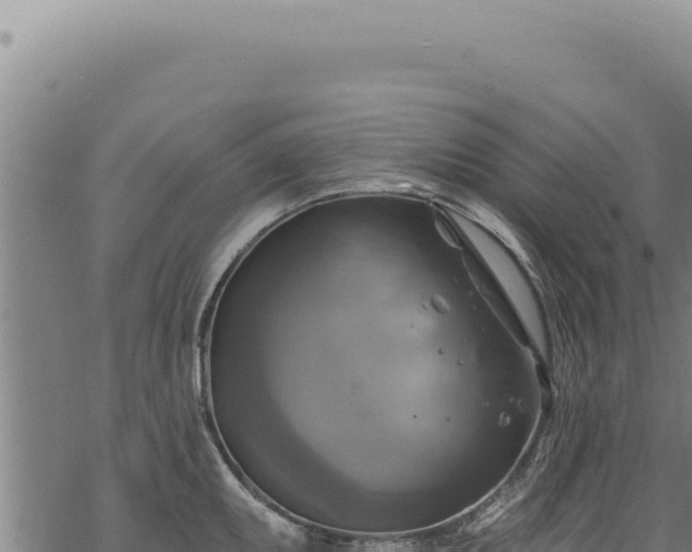 X0000068841095200605121400