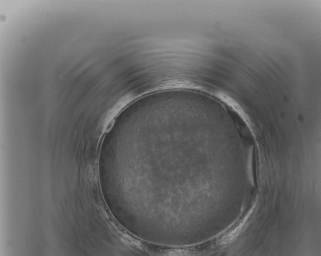 X0000068841097200605121400