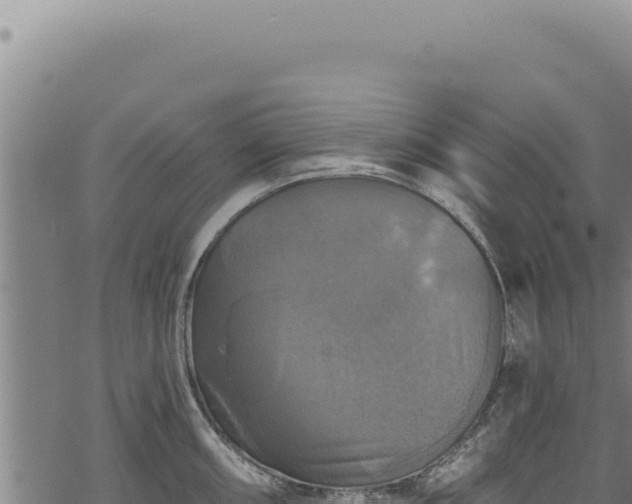 X0000068841098200605121400