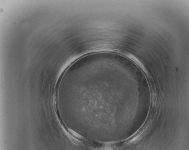 X0000068841101200605121400