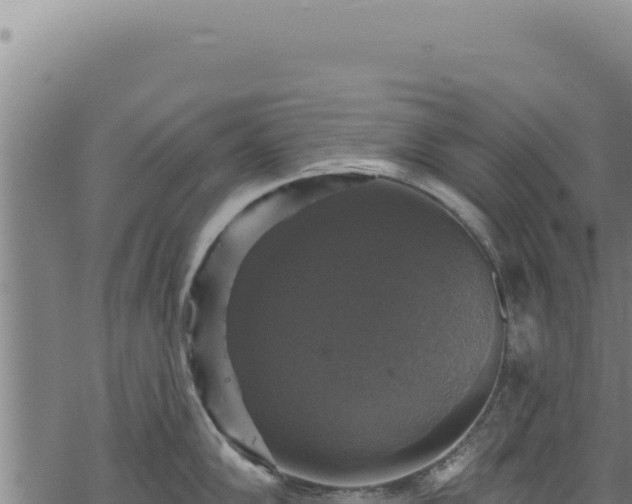 X0000068841102200605121400