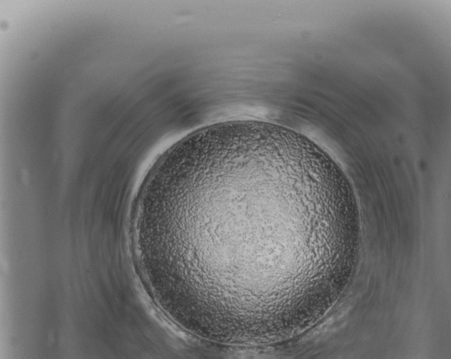 X0000068841104200605121400