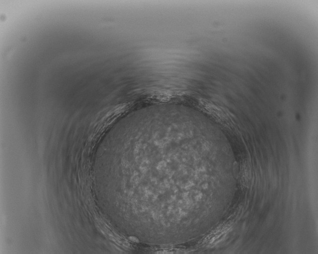 X0000068841105200605121359