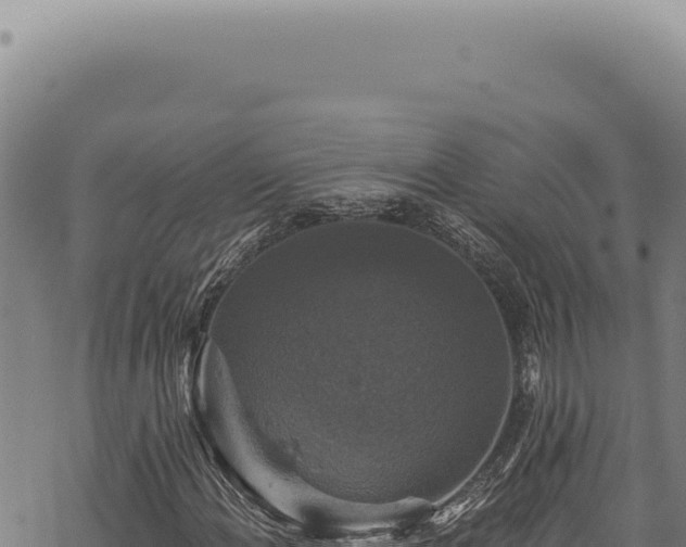 X0000068841108200605121359