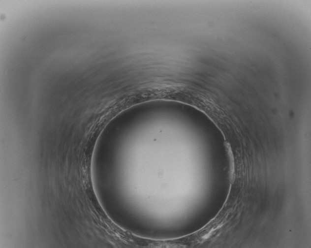 X0000068841109200605121359