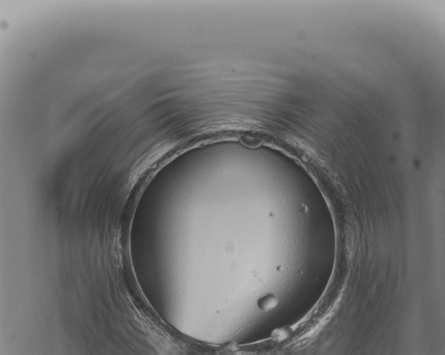 X0000068841113200605121359