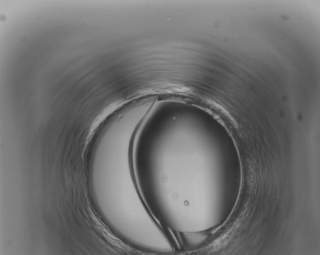 X0000068841114200605121359