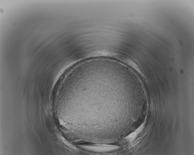 X0000068841116200605121359