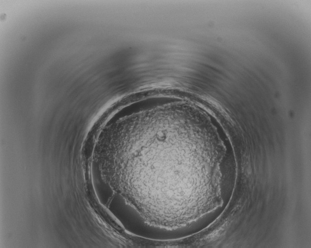 X0000068841118200605121359