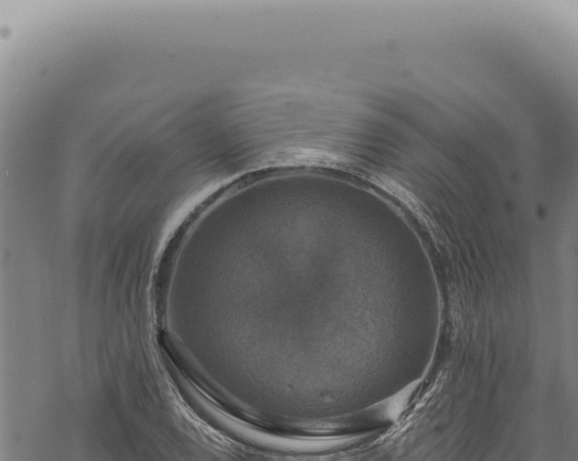 X0000068841120200605121400