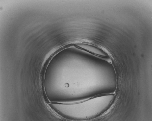 X0000068841122200605121400