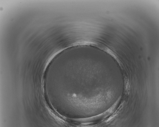 X0000068841124200605121400