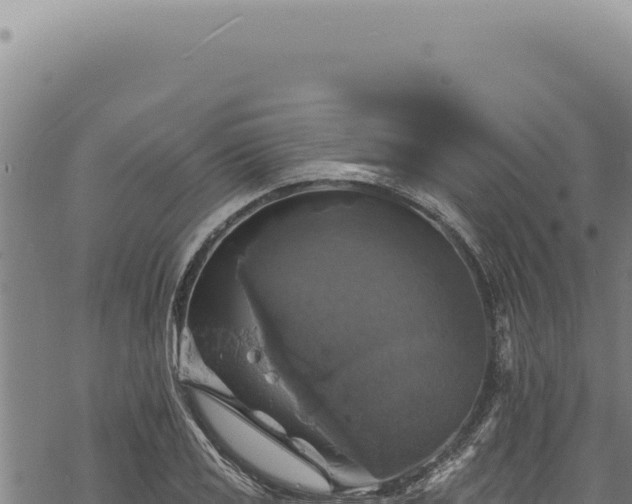 X0000068841125200605121400