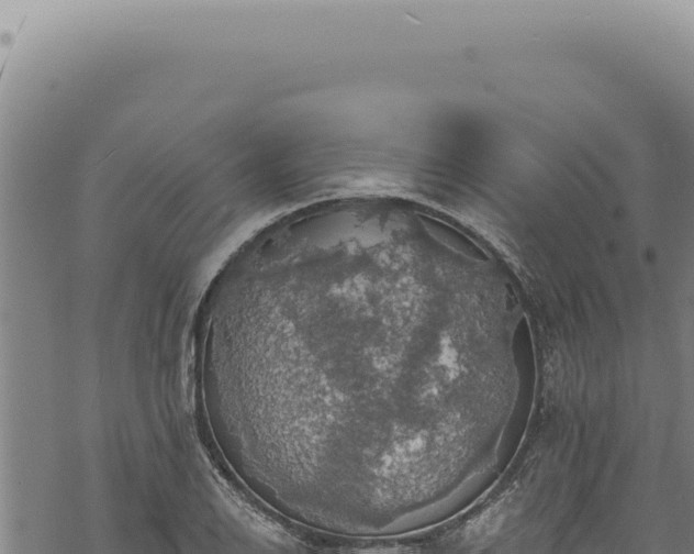 X0000068841126200605121400