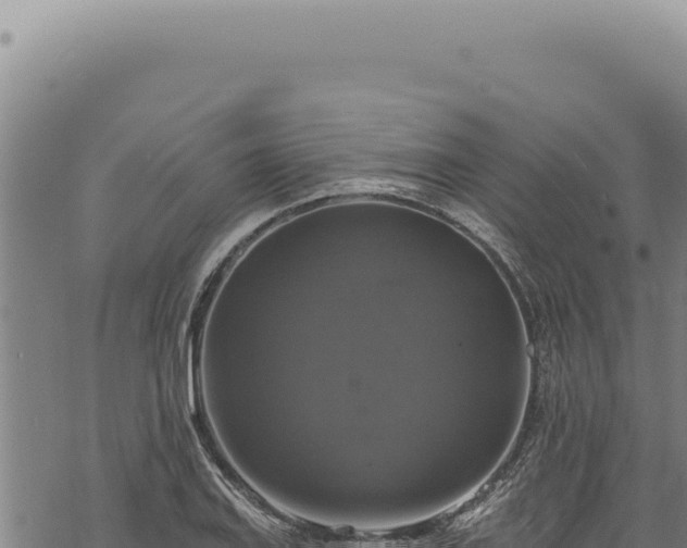 X0000068841127200605121400