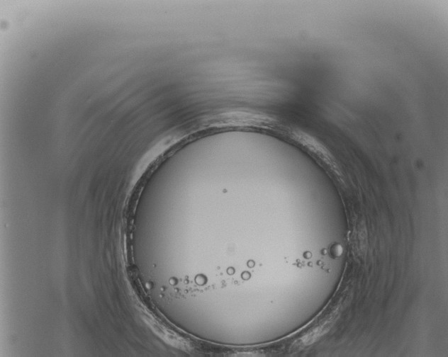 X0000068841130200605121400