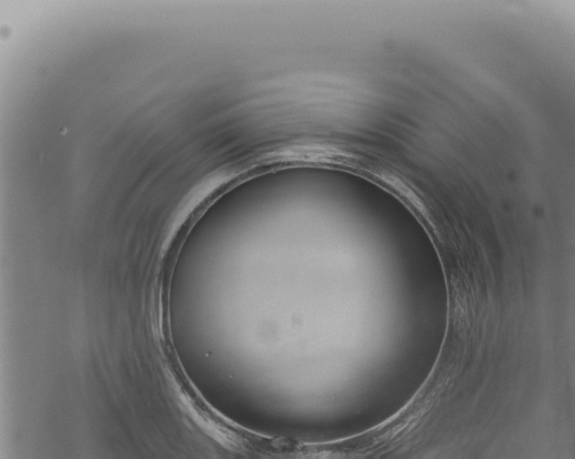 X0000068841131200605121400