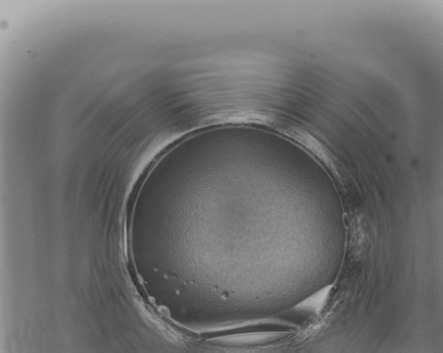 X0000068841132200605121400