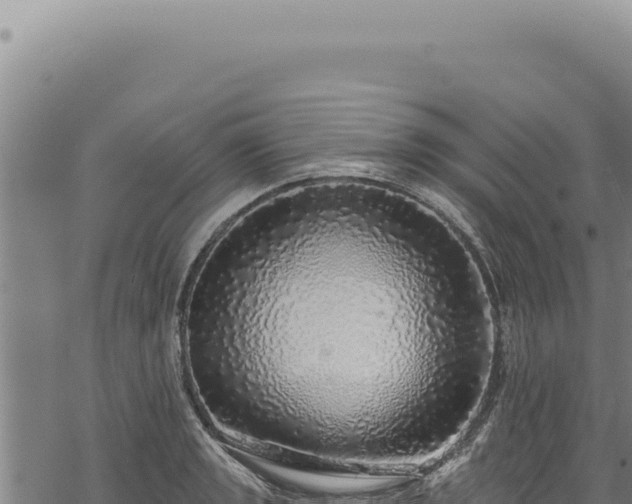 X0000068841133200605121400