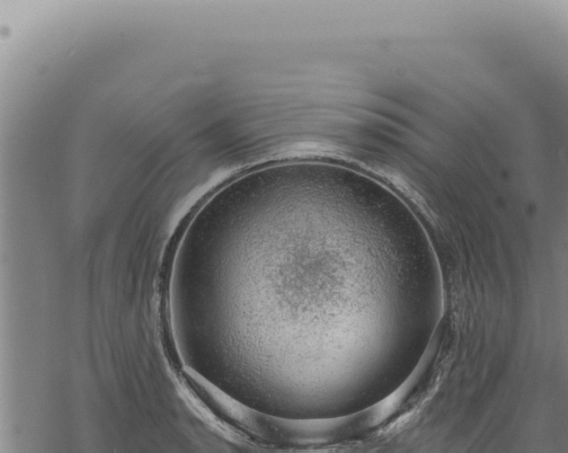 X0000068841134200605121400