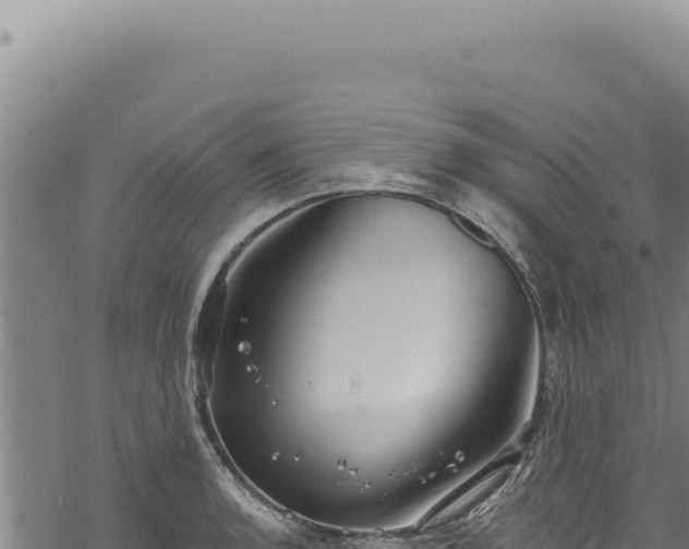 X0000068841136200605121400