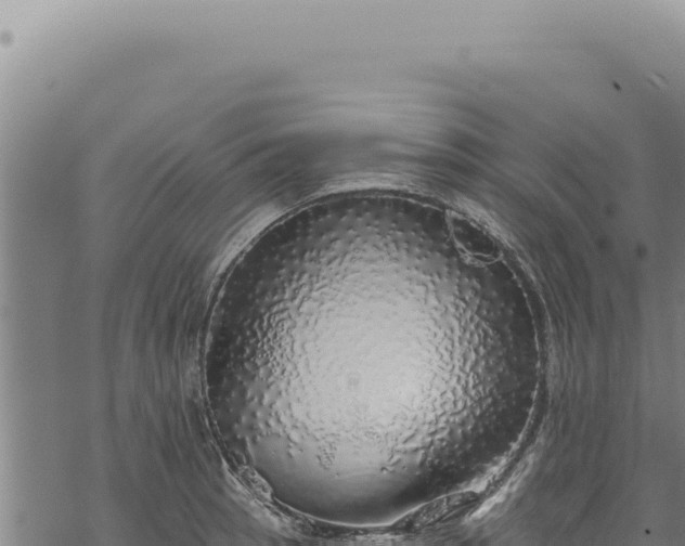 X0000068841137200605121400