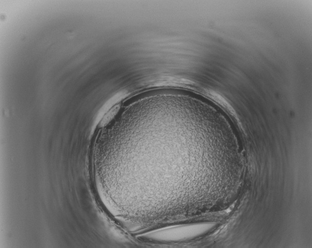 X0000068841138200605121400