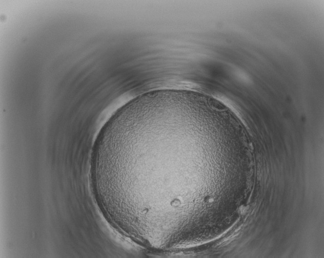 X0000068841139200605121400