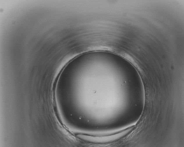 X0000068841140200605121400