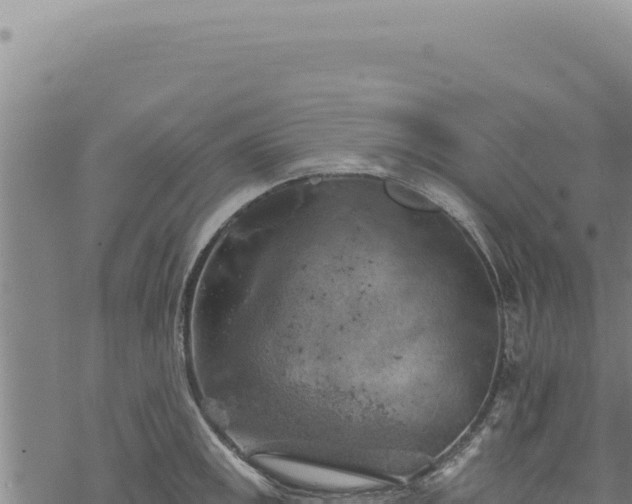 X0000068841141200605121400