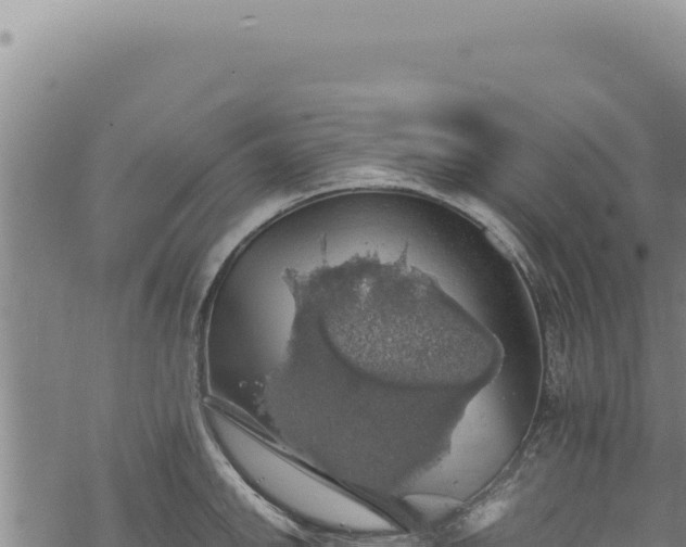 X0000068841142200605121400