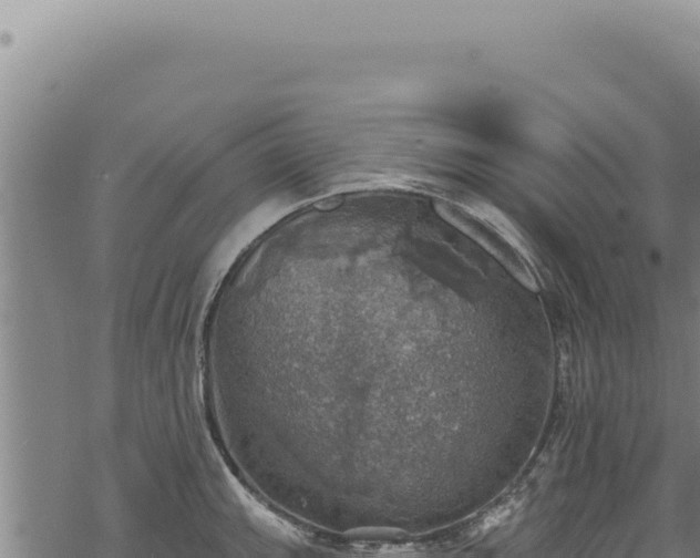 X0000068841143200605121400