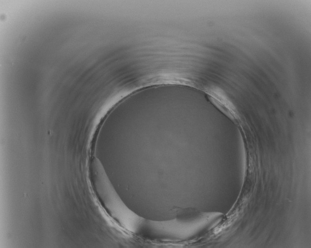 X0000068841144200605121400