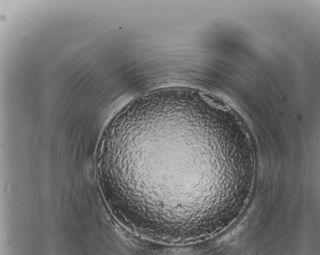 X0000068841145200605121400