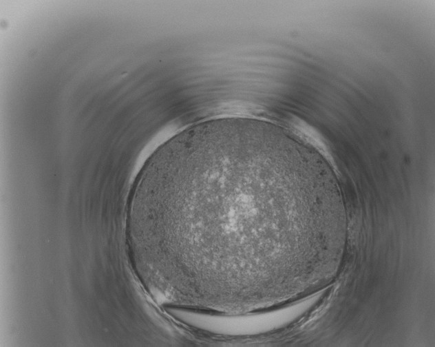 X0000068841146200605121400