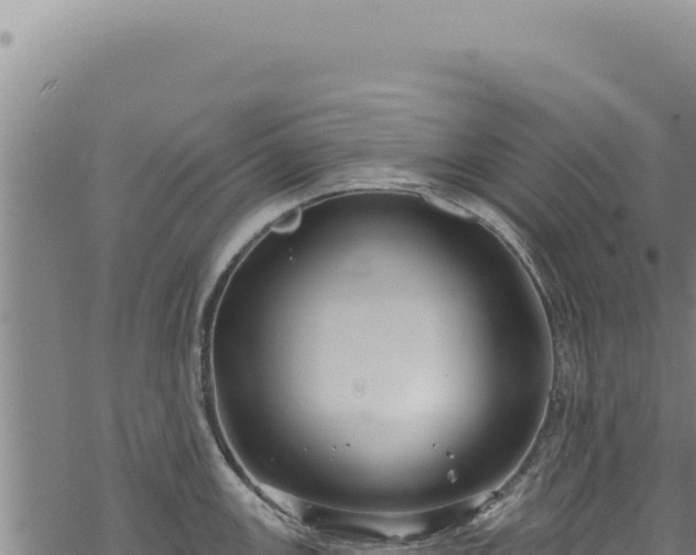 X0000068841147200605121400