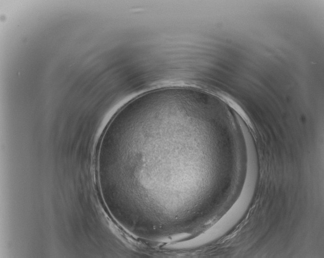 X0000068841148200605121400