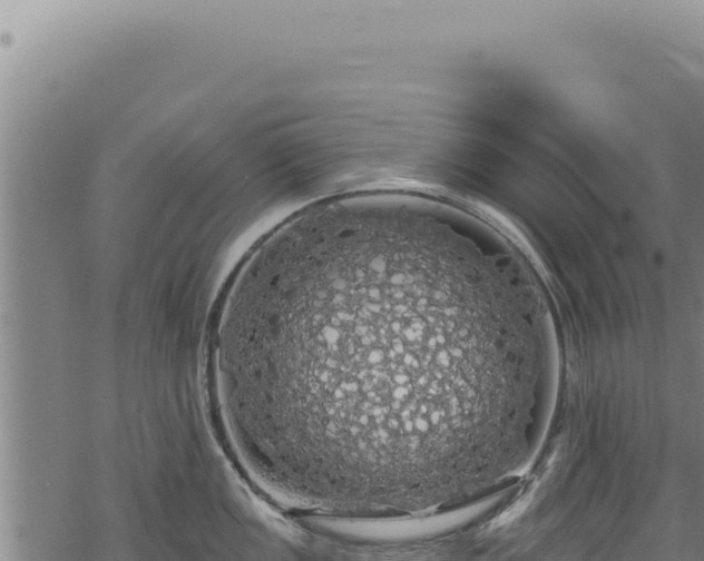 X0000068841149200605121400