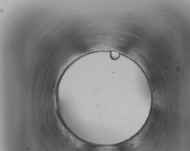 X0000068841150200605121400