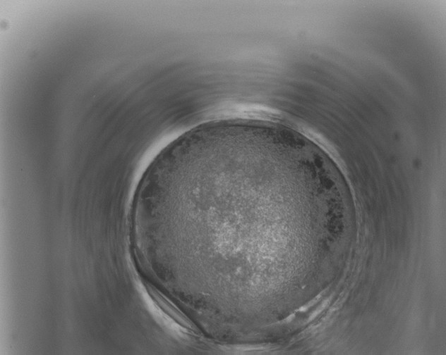 X0000068841152200605121400