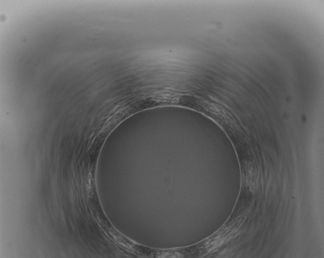 X0000068841154200605121359