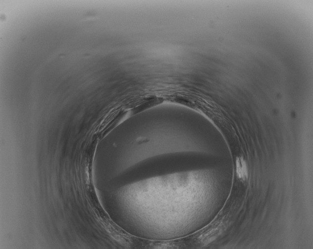 X0000068841155200605121359