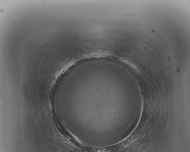 X0000068841160200605121359