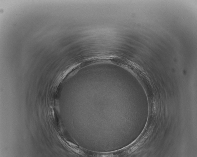 X0000068841161200605121359