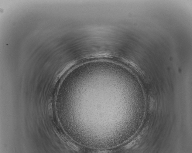 X0000068841162200605121359